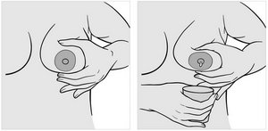 Daumen sowie Zeigefinger und Mittelfinger werden einander gegenüber jeweils 2 bis 3 cm von der Brustwarze entfernt an die Brust angelegt. Die Brustwarze ist zwischen Daumen und Zeigefinger/Mittelfinger platziert. Die Finger heben die Brust leicht an, dann werden Daumen und Zeigefinger vorsichtig zusammengeführt, ohne die Position zu verändern. Milch kommt aus Brustwarze.