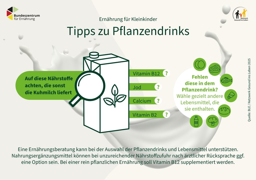 Grafik zeigt auf, auf welche Nährstoffe Eltern achten müssen, wenn sie ihren Kleinkindern statt Kuhmilch Pflanzendrinks geben.